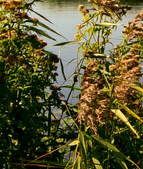 路虎辅助加热器