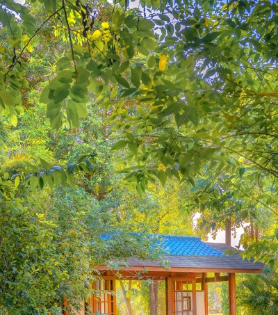 喜悦与济南生活频道联手，为您带来精彩在线直播！
