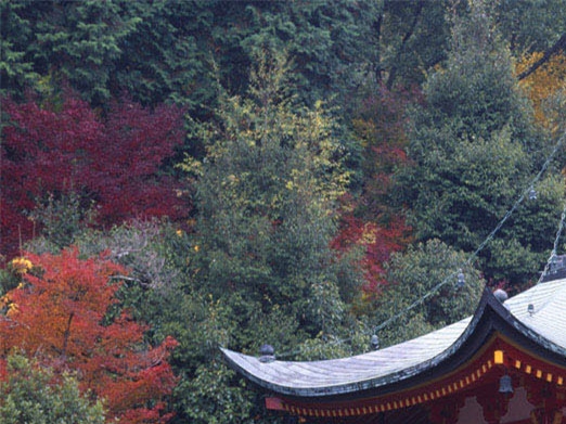 ui设计简历