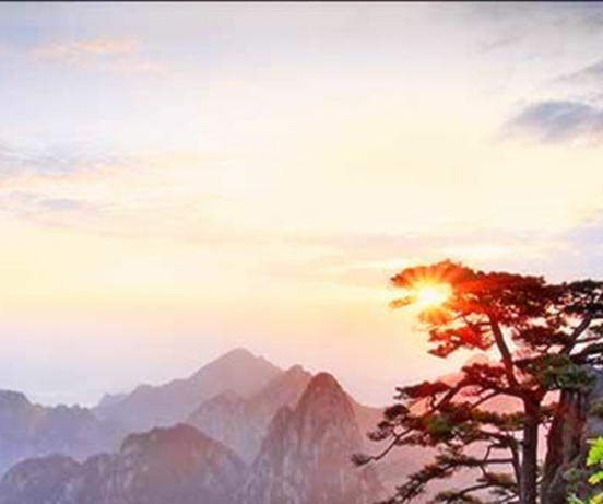 四年级美术教材分析
