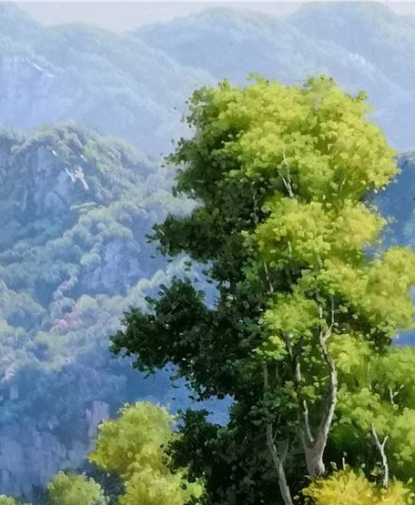深圳健康码小程序叫什么