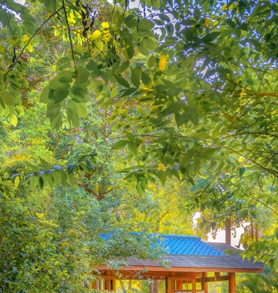 奇异小队