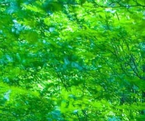 生活技能小班活动：叠衣服教学