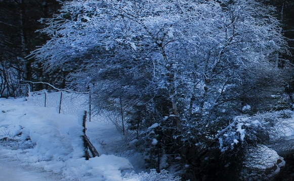 热雪奇迹滑雪多少钱