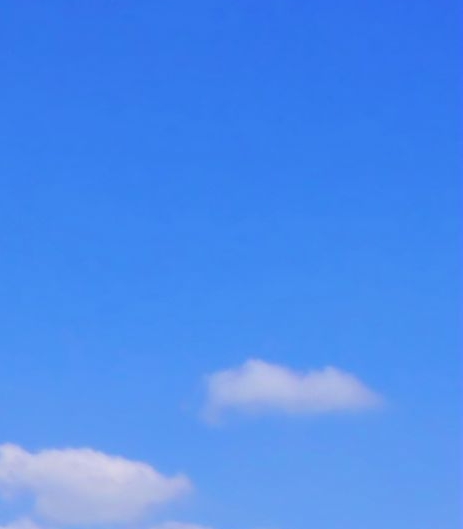 美味的早餐画一画