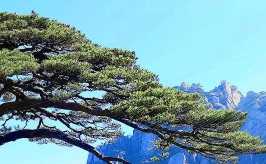 东营智能科技公司