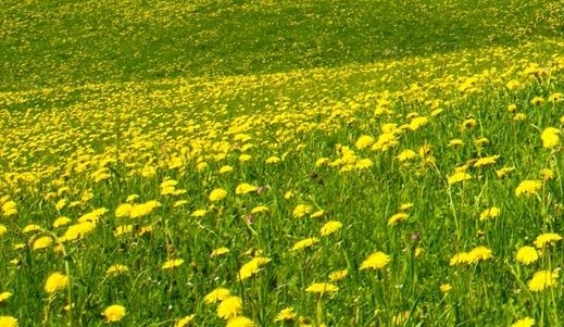 了解昆仑芯科技背景，掌握股票代码，开启投资新征程