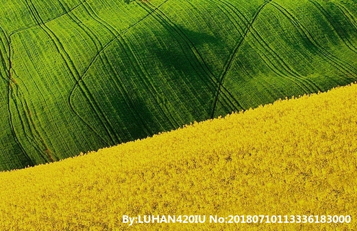 零碳科技小程序