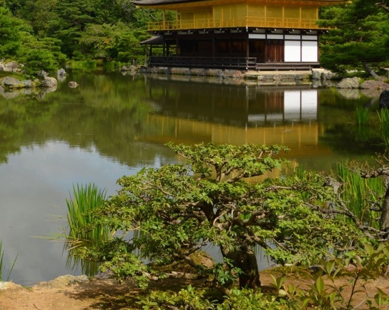 悬疑市井生活与寒门学子的市井生活详解
