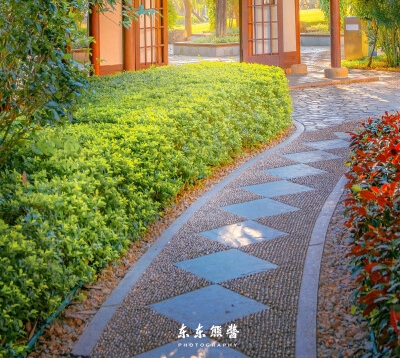深圳 朱婷婷老师简历