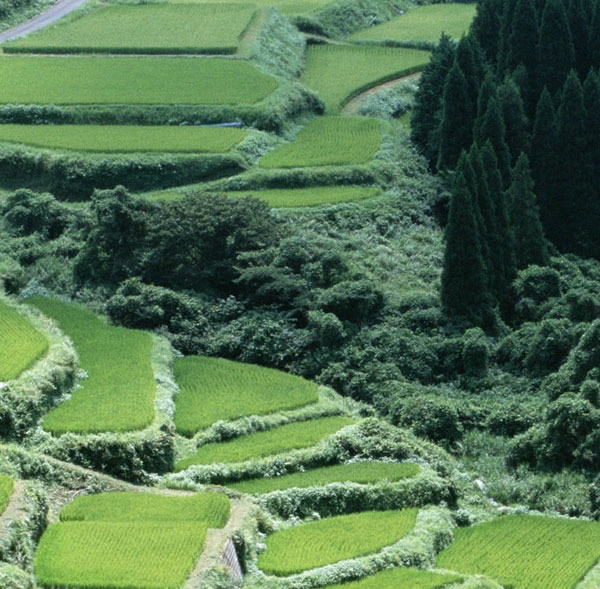牛进宝简历