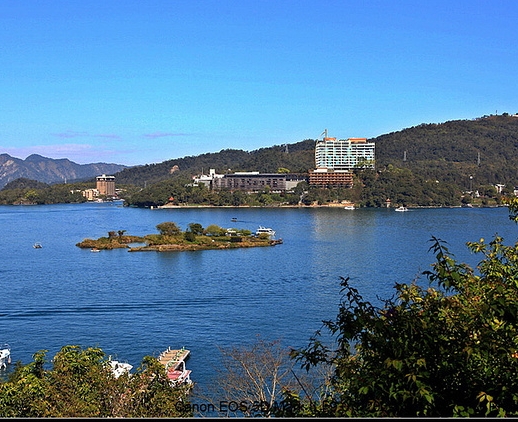 野行美味的生活：探寻海岸线上的野食海获