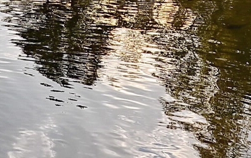 漳浦奇迹培训机构地址与天津六月奇迹培训机构比较，哪家更适合？