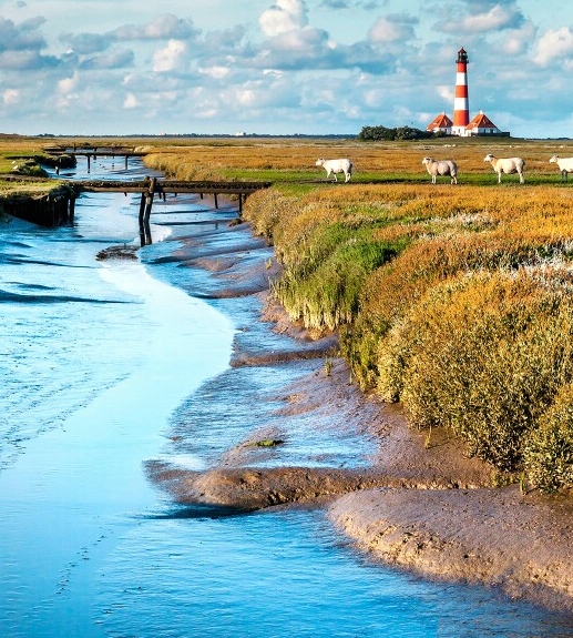 注册掌上生活有风险吗