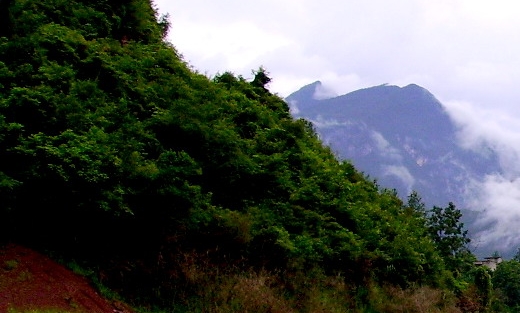 姓名顺序按首字母排序