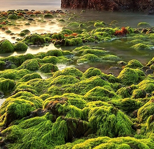 自拍生活场景，小森生活自拍技巧