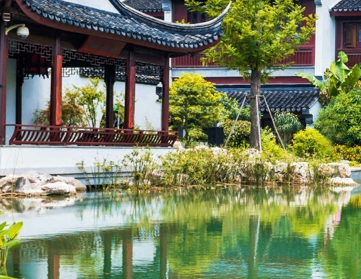 蓝莓美味与酒香，高清大图真实呈现！