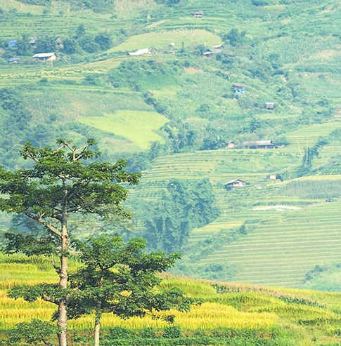 温暖的场景200字