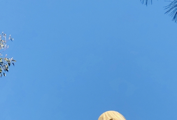 夫妻间的趣事对话