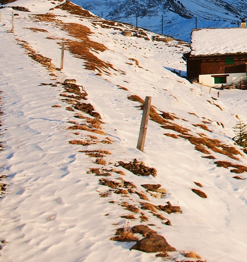 重庆交警杨雪峰