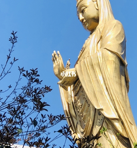 学校生活日志范文30篇
