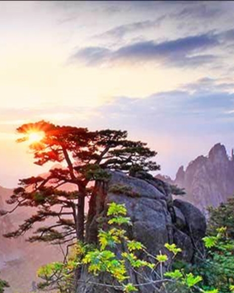 高中英语节日作文素材