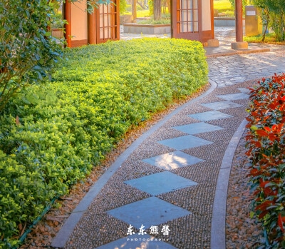 创新科技IP图片和形象设计：打造独特魅力的科技品牌