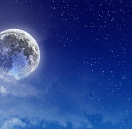 美味夜行侠深圳录制地点