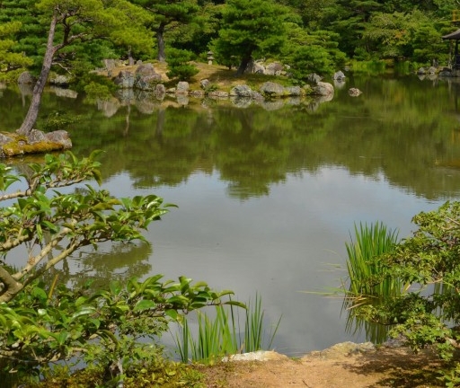 泰康人寿程康平简历
