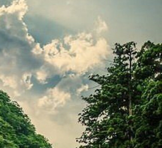 森林生活电热毯