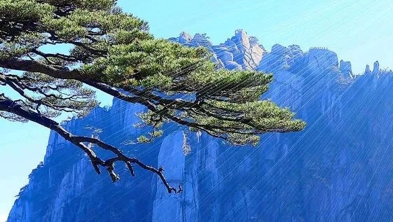 少年拳第一套教学视频下载