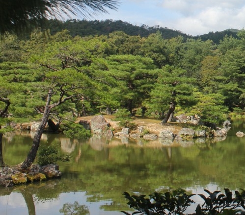 光峰科技 手机投影