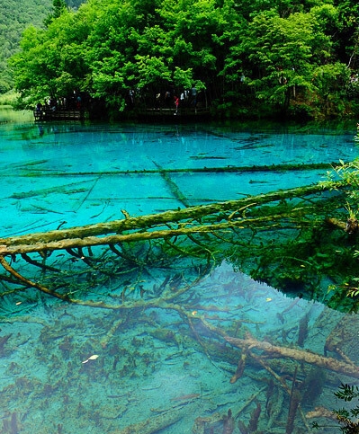 长沙蓝思科技公司