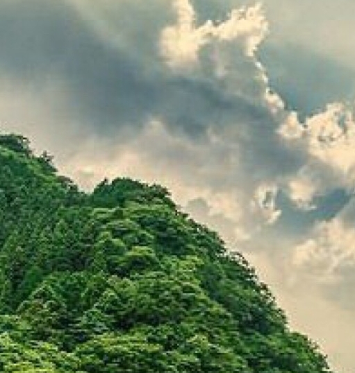 奇迹绣绣 模特