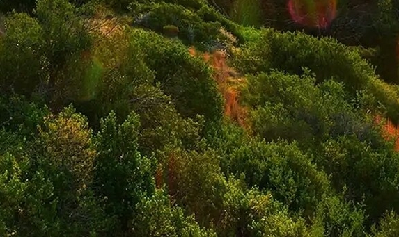 庞姓男生姓名闪耀校园，庞姓单字姓名独树一帜