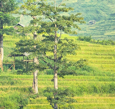 吕福来漯河