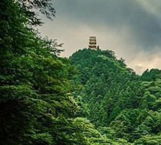 奇迹礼包怎么领取