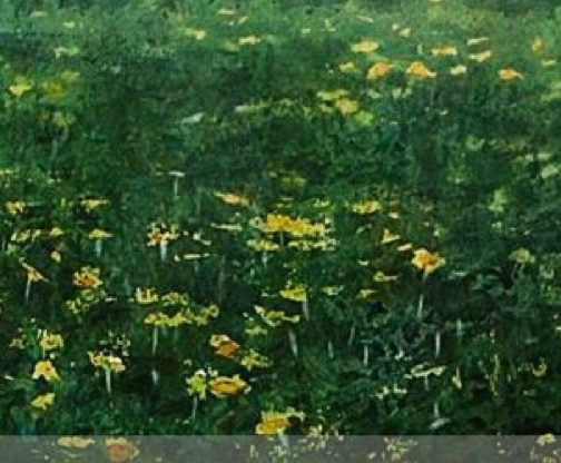 冬季节有什么水果