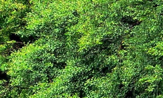 素描几何体组成