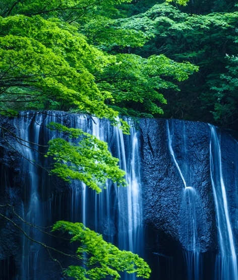 僵尸生活2画师