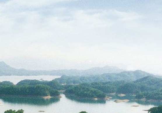 注册ins显示姓名无法使用