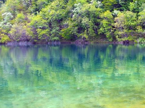 海南军坡节神上身真假