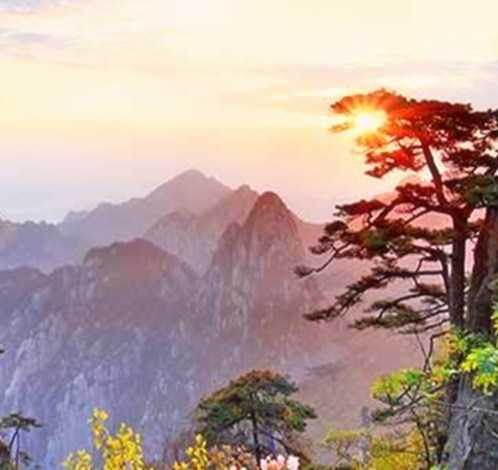 河马哥解说美味星球鲨鱼