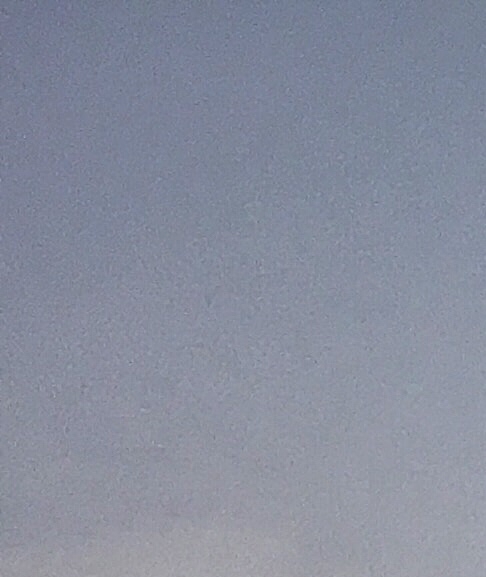 生活的本质就是挣钱