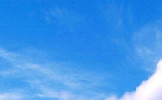 海口灵山中学刘少琼简历