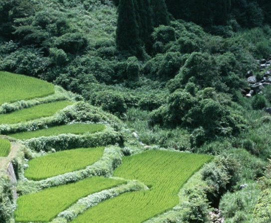 奇迹强化物品无法交易，你知道在哪吗？