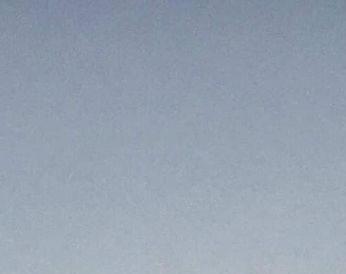美味鸡翅的做法大全