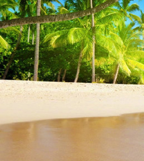 完美生活网手机登录完美商城