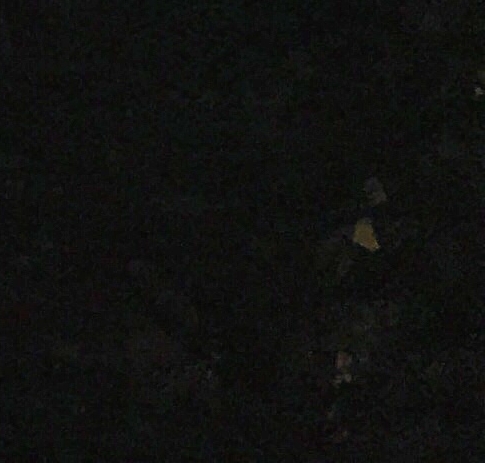 蛋仔与海绵宝宝的美味汉堡大比拼