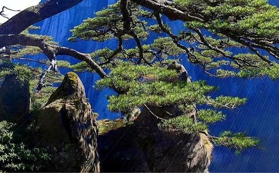 能源科技有限公司名称